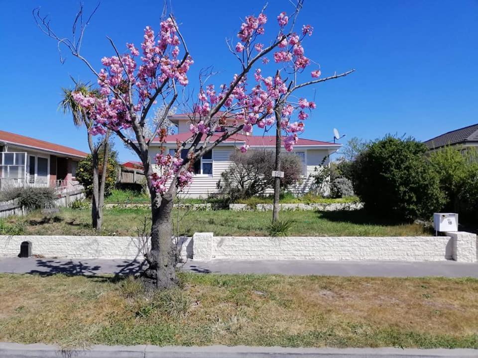 Homestay Family Room, Near The City Center Christchurch Dış mekan fotoğraf